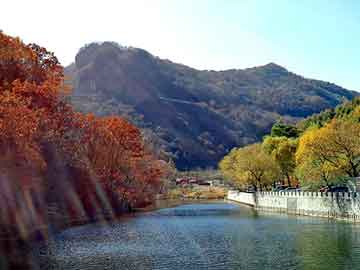 澳门天天免费精准大全，汽车地板胶价格